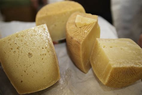 tettone pecorina|pecorino di abruzzo.